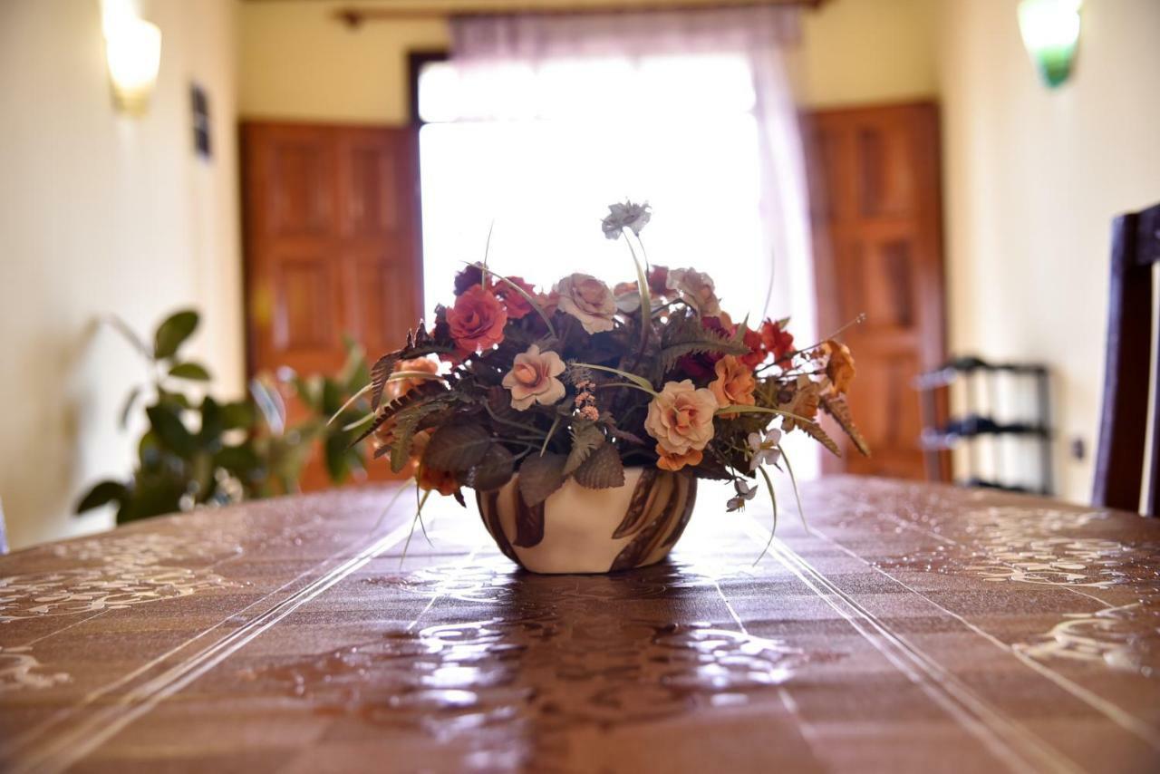 Villa Garden Shkodra Ngoại thất bức ảnh