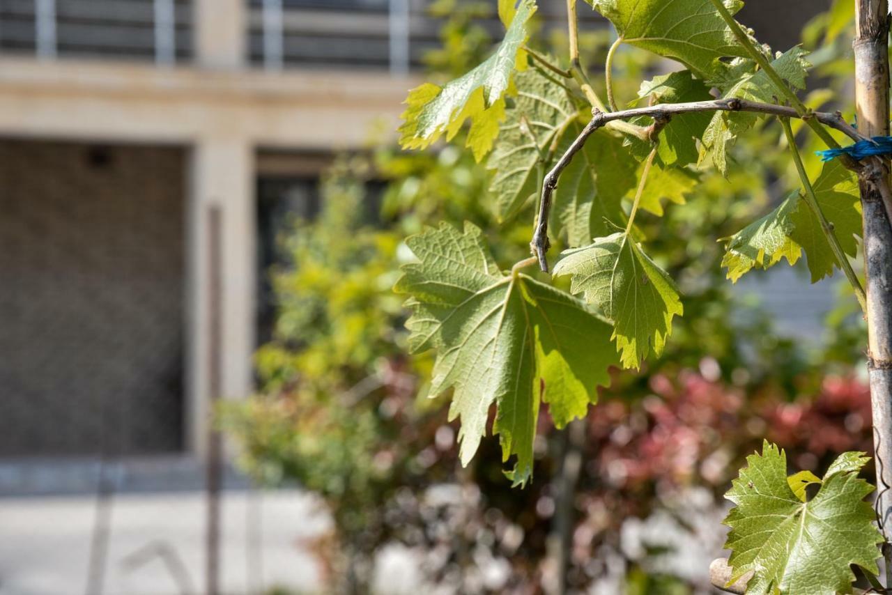 Villa Garden Shkodra Ngoại thất bức ảnh