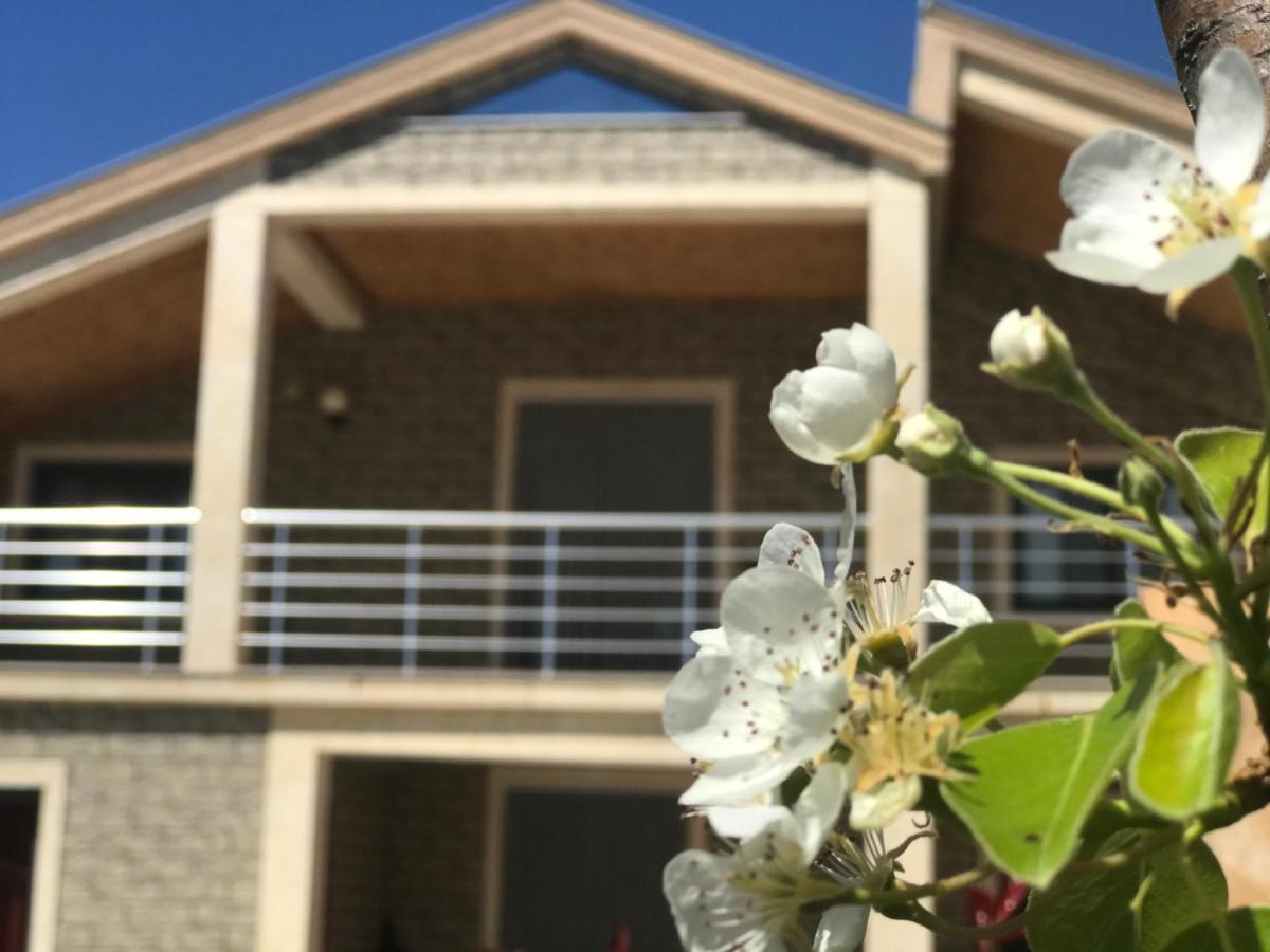 Villa Garden Shkodra Ngoại thất bức ảnh