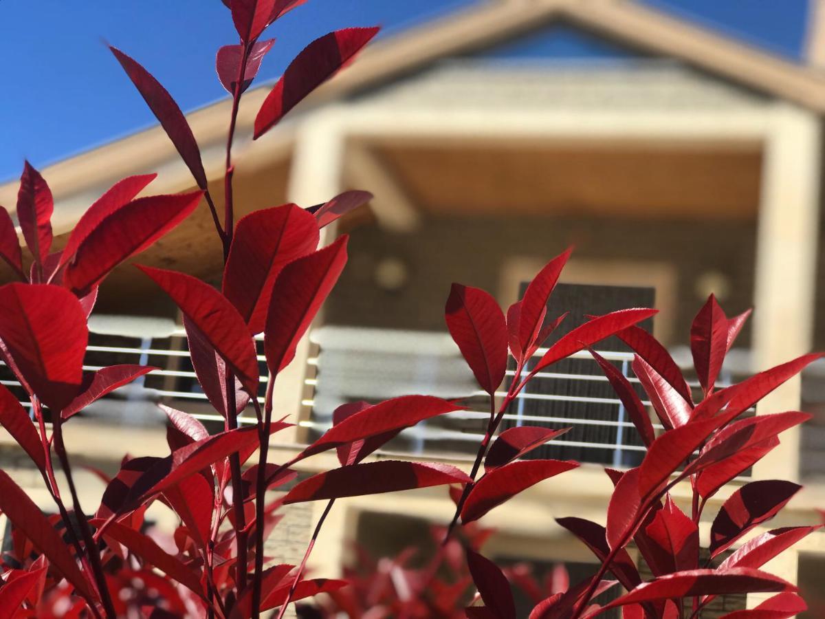Villa Garden Shkodra Ngoại thất bức ảnh