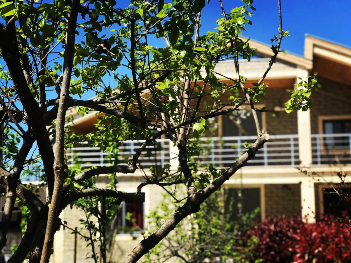 Villa Garden Shkodra Ngoại thất bức ảnh